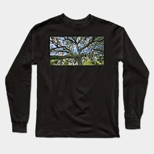 Tranquil Majesty: Audubon Park's Sprawling Oak Tree Long Sleeve T-Shirt